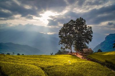 LỊCH TRÌNH CHI TIẾT TOUR 5 NGÀY 4 ĐÊM TÀ XÙA – THƯỢNG LÂM – BẮC HÀ – Y TÝ
